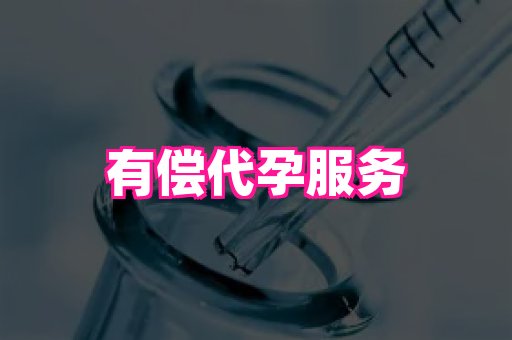 泉州助孕网 4